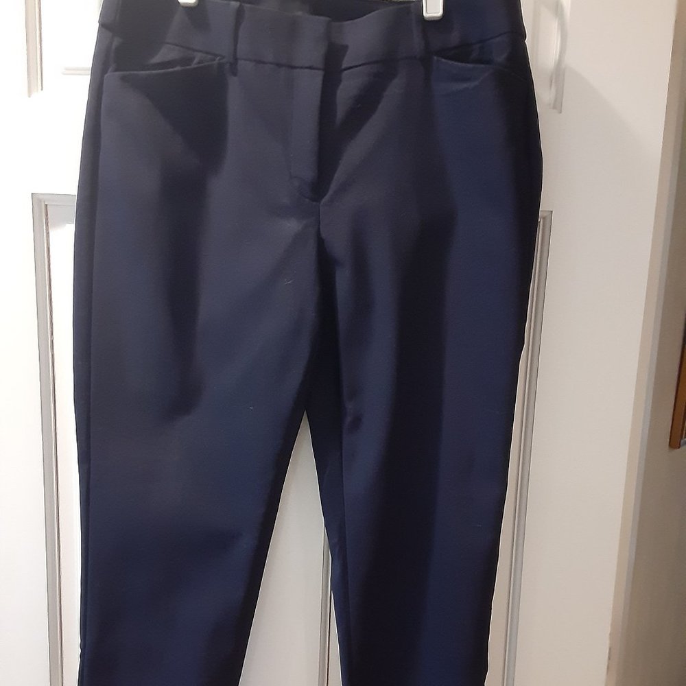 Loft Navy Ankle Pants (8)